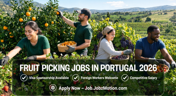 Foreign workers harvesting fruit on a Portuguese farm representing Fruit Picking Jobs in Portugal 2026.